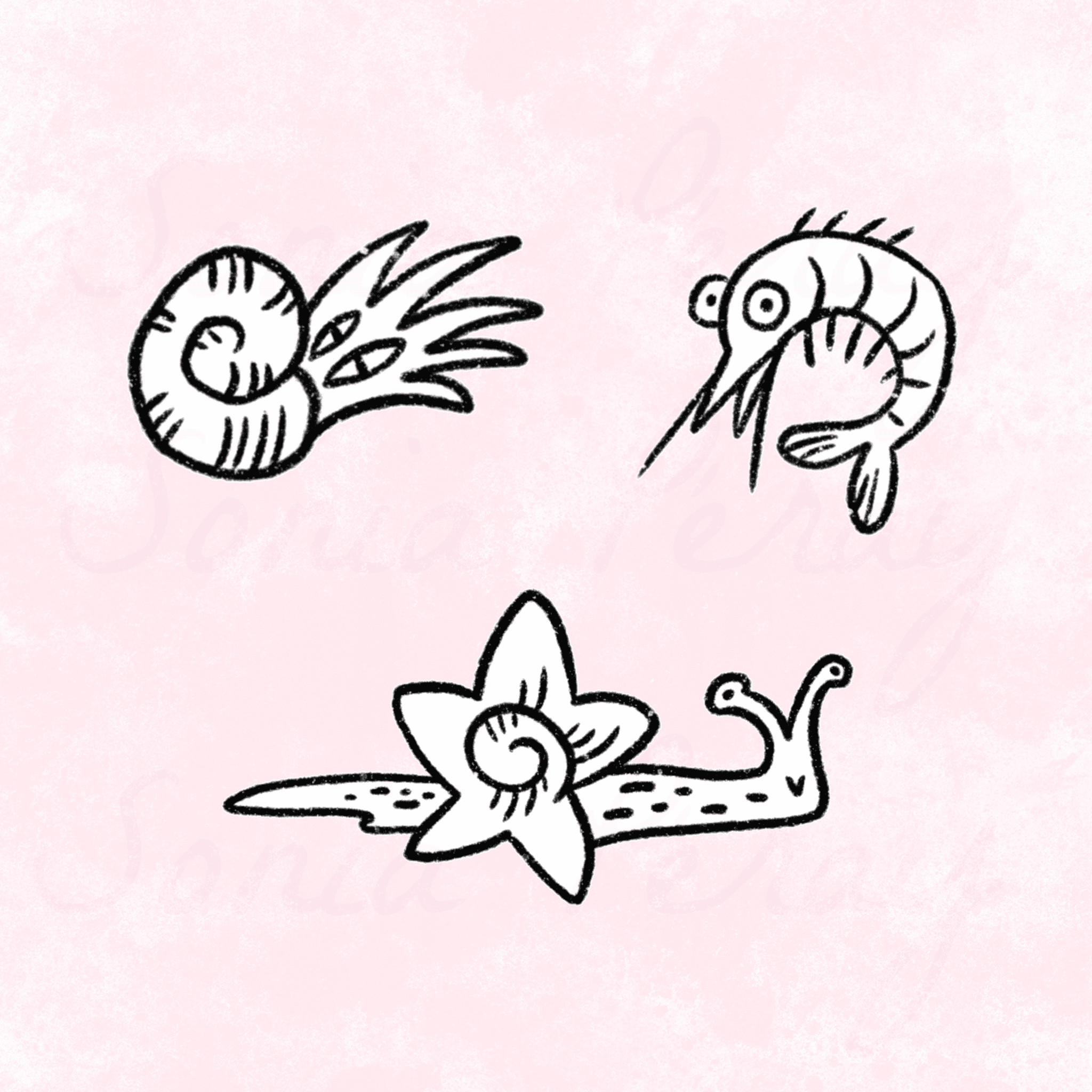 flash tattoo crevette et escargot étoile